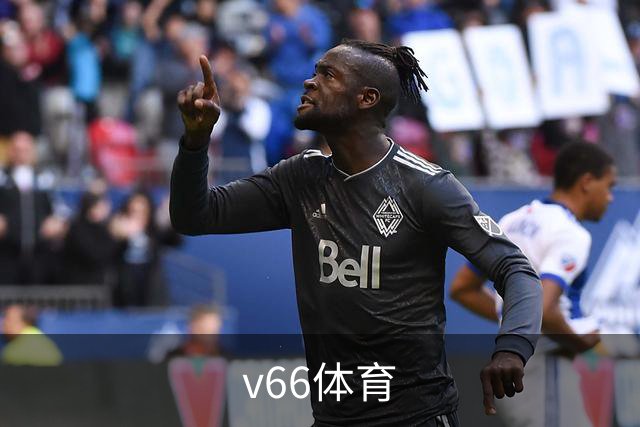 v66体育 公司简介